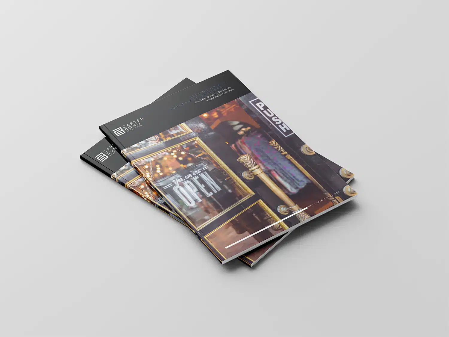 Buying share capital vs buying assets